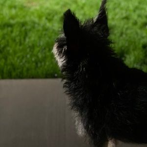 Meet your Posher, Kristin